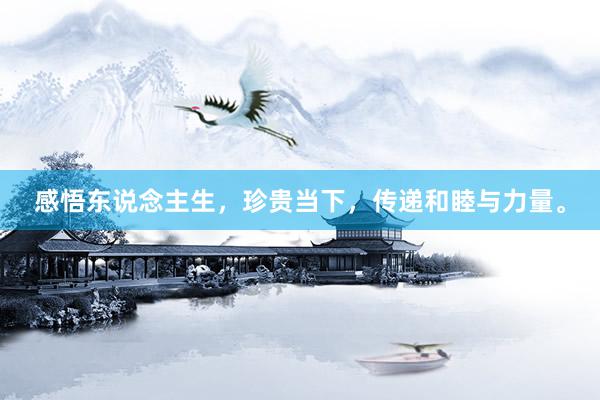 感悟东说念主生，珍贵当下，传递和睦与力量。