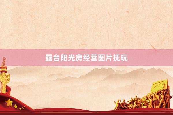 露台阳光房经营图片抚玩
