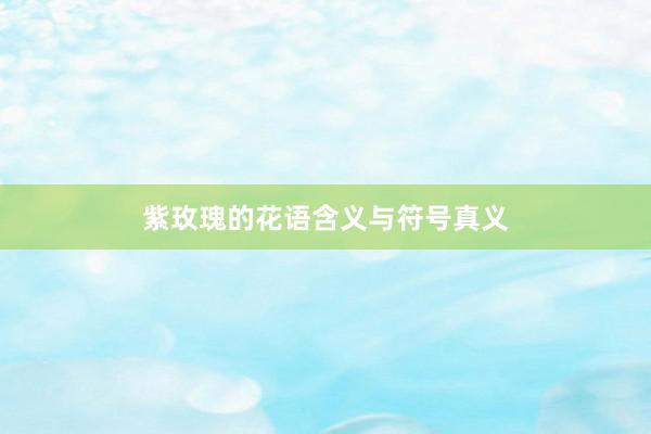 紫玫瑰的花语含义与符号真义